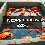 利勃海尔 LTF1035-3.1 起重机(图4) 利勃海尔 LTF1035-3.1 起重机(图4)