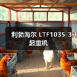 利勃海尔 LTF1035-3.1 起重机(图2) 利勃海尔 LTF1035-3.1 起重机(图2)