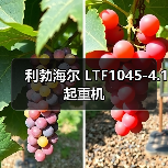 利勃海尔 LTF1045-4.1 起重机(图3) 利勃海尔 LTF1045-4.1 起重机(图3)