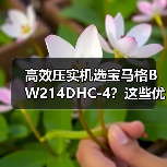 高效压实机选宝马格BW214DHC-4？这些优点你必须知道！（图2）