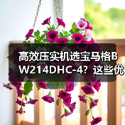高效压实机选宝马格BW214DHC-4？这些优点你必须知道！（图3）