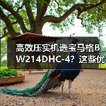 高效压实机选宝马格BW214DHC-4？这些优点你必须知道！（图1）