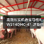 高效压实机选宝马格BW214DHC-4？这些优点你必须知道！（图4）