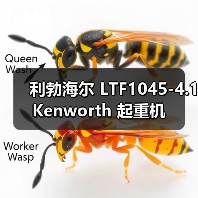 利勃海尔 LTF1045-4.1 Kenworth 起重机(图4) 利勃海尔 LTF1045-4.1 Kenworth 起重机(图4)