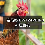 宝马格 BW124PDB-3+ 压路机（图3）