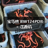 宝马格 BW124PDB-3+ 压路机（图1）