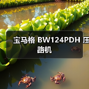 宝马格 BW124PDH 压路机（图3）