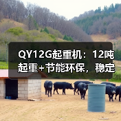 QY12G起重机：12吨起重+节能环保，稳定性强为何成为工地首选？（图1）