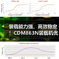 装载能力强，高效稳定！CDM863N装载机优势解析（图2）