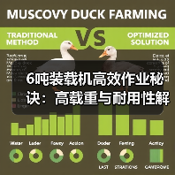 6吨装载机高效作业秘诀：高载重与耐用性解析（图2）