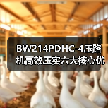 BW214PDHC-4压路机高效压实六大核心优势解析（图2）