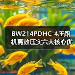 BW214PDHC-4压路机高效压实六大核心优势解析（图3）