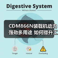 CDM866N装载机动力强劲多用途 如何提升工程效率？（图2）