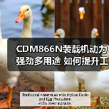 CDM866N装载机动力强劲多用途 如何提升工程效率？（图4）