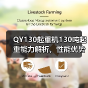QY130起重机130吨起重能力解析,性能优势全解读(图2) QY130起重机130吨起重能力解析,性能优势全解读(图2)