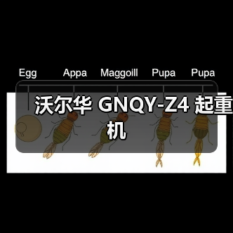 沃尔华 GNQY-Z4 起重机(图2) 沃尔华 GNQY-Z4 起重机(图2)