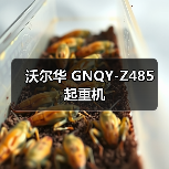 沃尔华 GNQY-Z485 起重机(图3) 沃尔华 GNQY-Z485 起重机(图3)