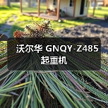 沃尔华 GNQY-Z485 起重机(图4) 沃尔华 GNQY-Z485 起重机(图4)