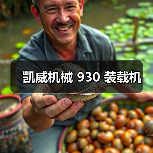 凯威机械 930 装载机(图4) 凯威机械 930 装载机(图4)