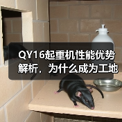 QY16起重机性能优势解析,为什么成为工地首选?(图2) QY16起重机性能优势解析,为什么成为工地首选?(图2)