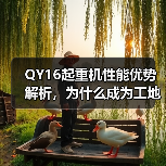 QY16起重机性能优势解析,为什么成为工地首选?(图1) QY16起重机性能优势解析,为什么成为工地首选?(图1)