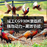 成工CG930K装载机:强劲动力+高效节能,适用多种重型场景(图4) 成工CG930K装载机:强劲动力+高效节能,适用多种重型场景(图4)