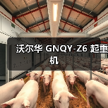 沃尔华 GNQY-Z6 起重机(图2) 沃尔华 GNQY-Z6 起重机(图2)