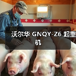 沃尔华 GNQY-Z6 起重机(图4) 沃尔华 GNQY-Z6 起重机(图4)