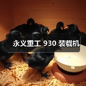 永义重工 930 装载机(图2) 永义重工 930 装载机(图2)