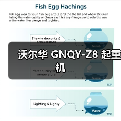 沃尔华 GNQY-Z8 起重机(图1) 沃尔华 GNQY-Z8 起重机(图1)