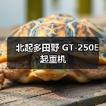 北起多田野 GT-250E 起重机（图2）