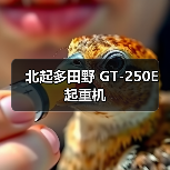北起多田野 GT-250E 起重机（图3）