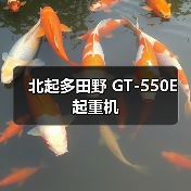 北起多田野 GT-550E 起重机（图2）
