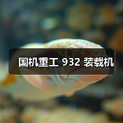 国机重工 932 装载机(图2) 国机重工 932 装载机(图2)