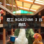 厦工 XG6224M-Ⅰ 压路机(图1) 厦工 XG6224M-Ⅰ 压路机(图1)