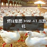 恒旺集团 HW-4T 压路机(图1) 恒旺集团 HW-4T 压路机(图1)