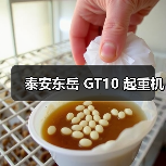 泰安东岳 GT10 起重机(图1) 泰安东岳 GT10 起重机(图1)