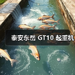 泰安东岳 GT10 起重机(图3) 泰安东岳 GT10 起重机(图3)
