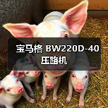 宝马格 BW220D-40 压路机(图2) 宝马格 BW220D-40 压路机(图2)