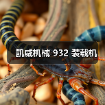 凯威机械 932 装载机(图4) 凯威机械 932 装载机(图4)