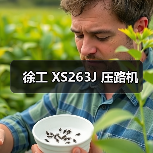 徐工 XS263J 压路机(图2) 徐工 XS263J 压路机(图2)