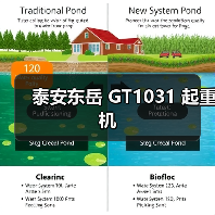 泰安东岳 GT1031 起重机（图2）