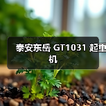 泰安东岳 GT1031 起重机（图3）