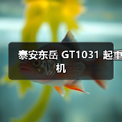 泰安东岳 GT1031 起重机（图4）