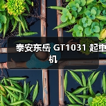泰安东岳 GT1031 起重机（图1）