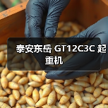泰安东岳 GT12C3C 起重机(图2) 泰安东岳 GT12C3C 起重机(图2)