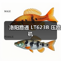 洛阳路通 LT623B 压路机(图1) 洛阳路通 LT623B 压路机(图1)