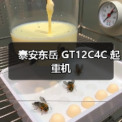 泰安东岳 GT12C4C 起重机(图3) 泰安东岳 GT12C4C 起重机(图3)