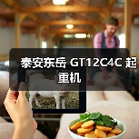 泰安东岳 GT12C4C 起重机(图4) 泰安东岳 GT12C4C 起重机(图4)