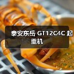 泰安东岳 GT12C4C 起重机(图2) 泰安东岳 GT12C4C 起重机(图2)
